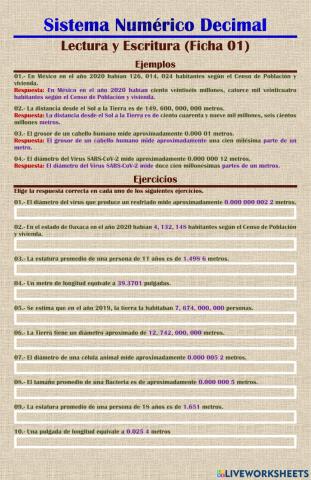 (Sistema Numérico) Lectura y Escritura 01