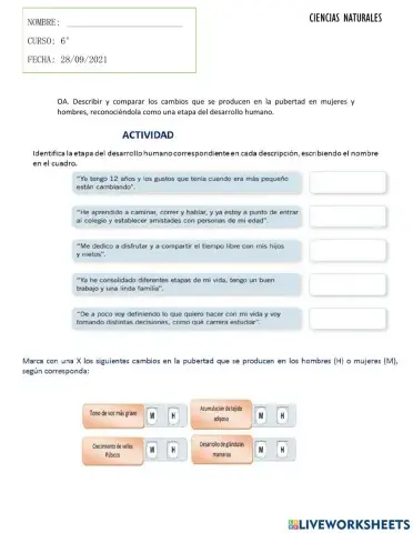 La pubertad y la adolescencia