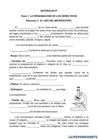 El uso del microscopio