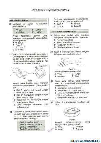 Mikroorganisma 2