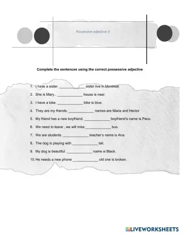 Possessive adjectives 3