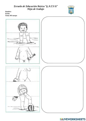 Partes gruesas del cuerpo