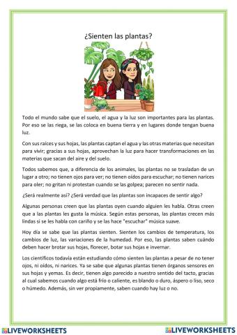 Mis amigas las plantas