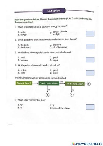 Year 5 Plant System Unit Review