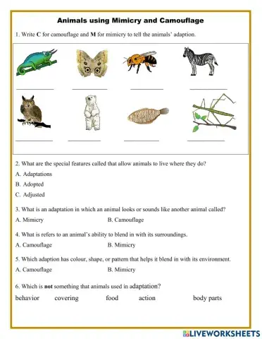 Animals using Mimicry and Camouflage