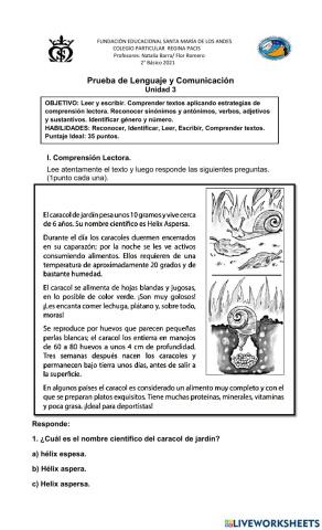 Evaluación Unidad 3 Lenguaje y Comunicación