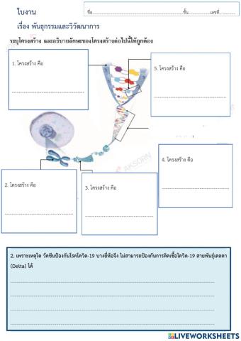 ใบงานเรื่อง พันธุกรรมและวิวัฒนาการ วิทยาศาสตร์ชีวภาพ ม.4-1