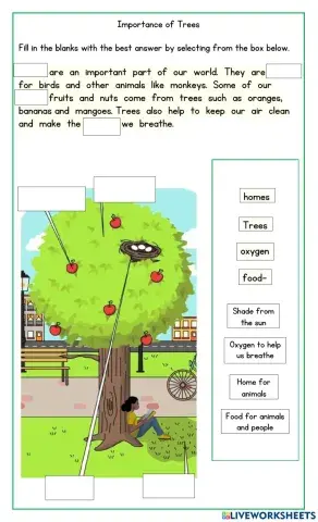 Importance of Trees