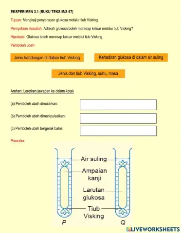 EKSPERIMEN 3.1 MENGKAJI PENYERAPAN GLUKOSA MELALUI TIUB VISKING