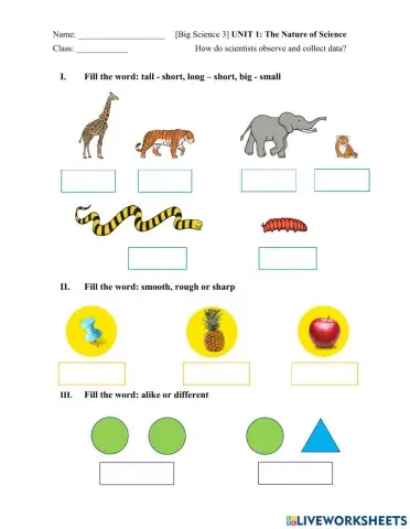 Big Science 3 The nature of Science