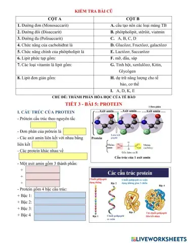 Bài 5.sinh 10.protein