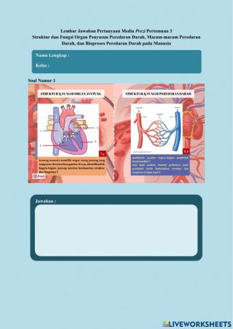 Lembar Jawaban Prezi pertemuan 3