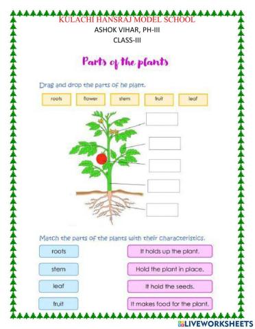 Partsof a plant
