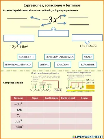 Términos algebraicos