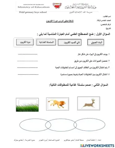 دورة الكربون