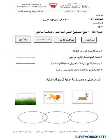 دورة الكربون