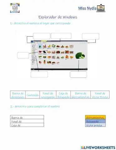 Explorador de Windows