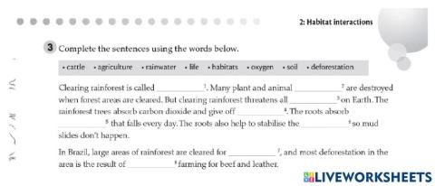 Rainforests and deforestation