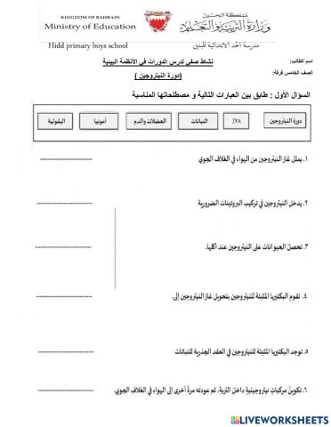 دورة النيتروجين