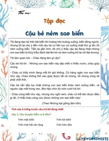Ôn tập TV