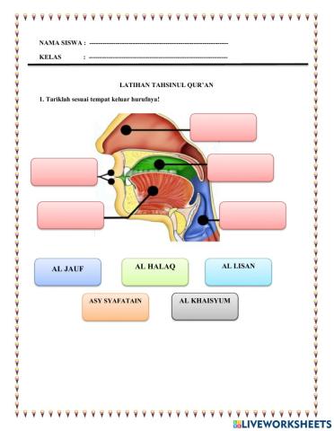 Soal tahsin kelas v sd