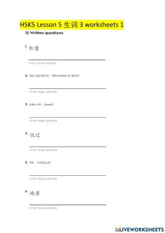 HSK 5 Lesson 5 生词3 worksheets 1