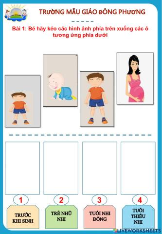 Các giai đoạn phát triển của bé