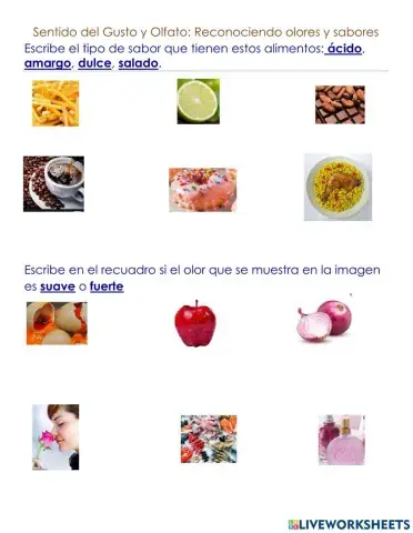 Sentido del gusto y olfato