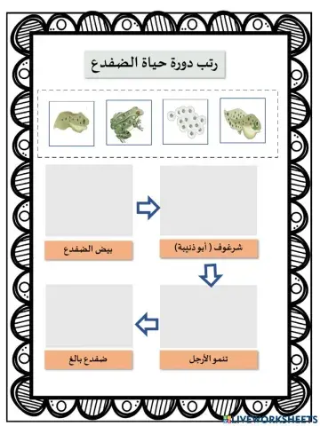 دورة حياة الضفدع