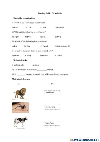 Feeding Habits of Animals