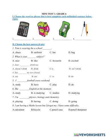 Mini test 1- grade 6
