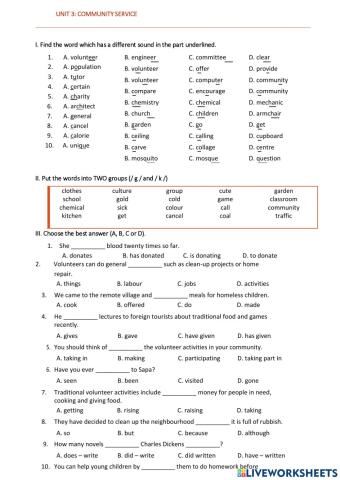 Unit 3 : Community service