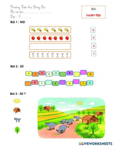 Bài tập Luyện tập