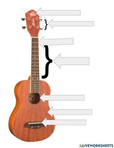 Parts of the Ukulele