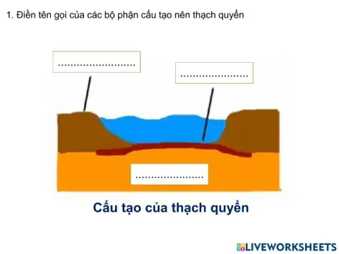 Bài tập cũng cố-Mảng kiến tạo