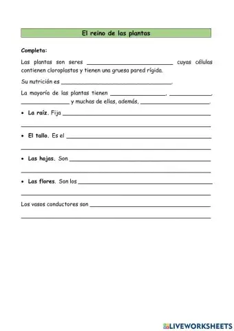 El reino de las plantas