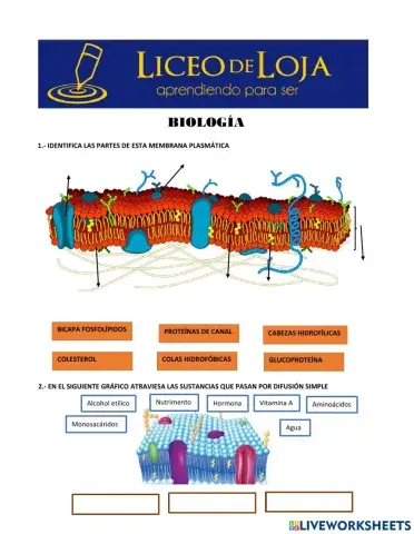 Membrana, proteínas, transporte