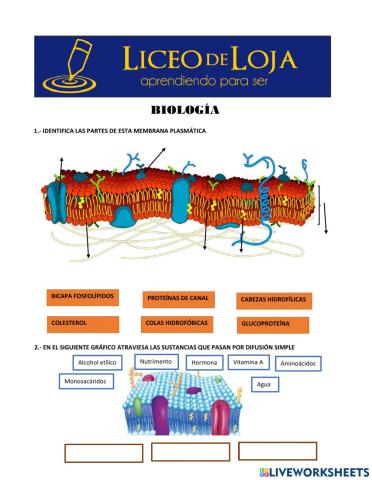 Membrana, proteínas, transporte