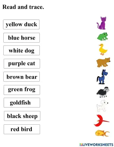 Brown bear, what do you see?