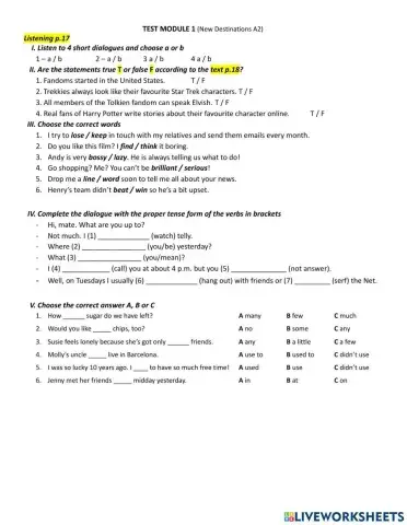 Module 1 test (New Destinations B1)