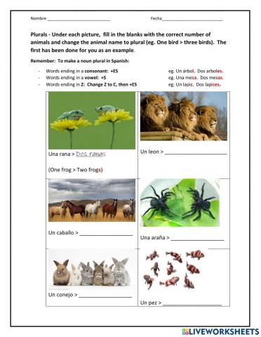 Plurals and the Verb -Ser-