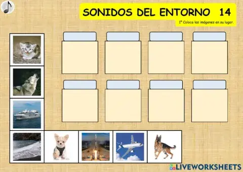 SONIDOS DEL ENTORNO 14