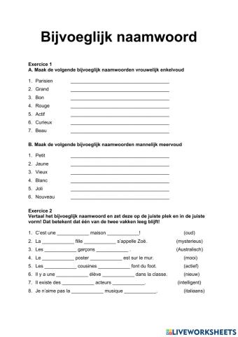 Bijvoeglijk naamwoord