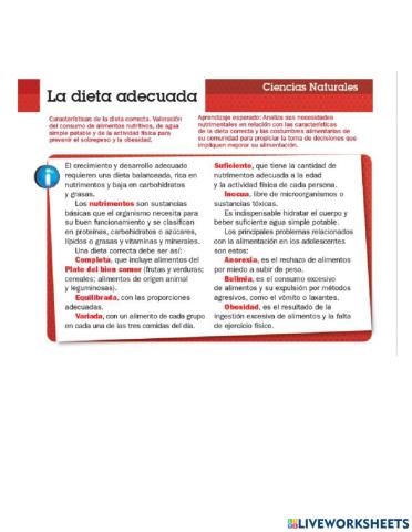 La dieta adecuada