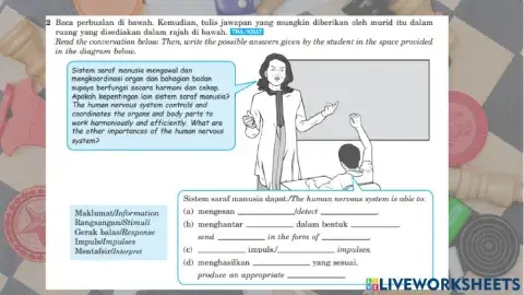 B1 Rangsangan dan gerak balas