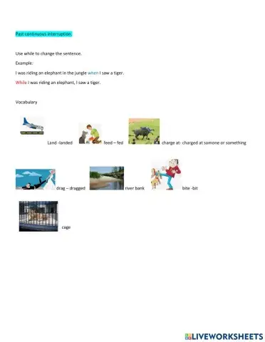 Past conitnuous while