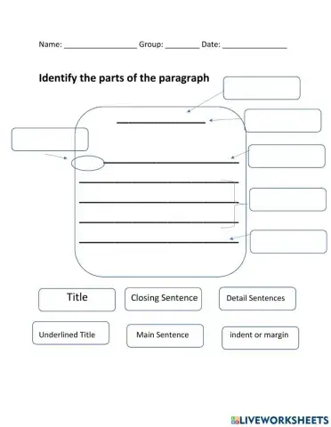 Parts of a paragraph