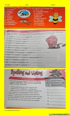 Spelling word wi ei and ie