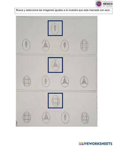 Semejanzas y diferencias.