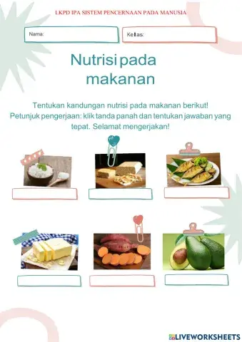 Sistem pencernaan pada makanan